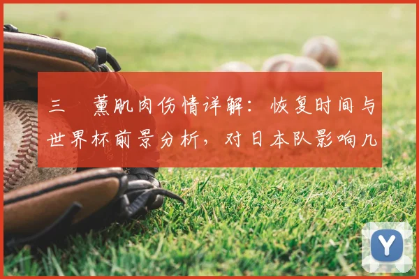 三笘薰肌肉伤情详解:恢复时间与世界杯前景分析,对日本队影响几何?
