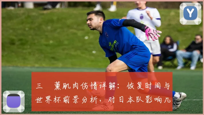 三笘薰肌肉伤情详解：恢复时间与世界杯前景分析，对日本队影响几何？